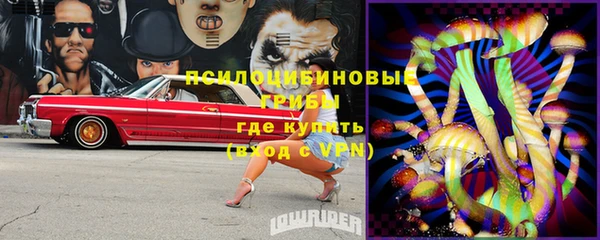 PSILOCYBIN Абинск
