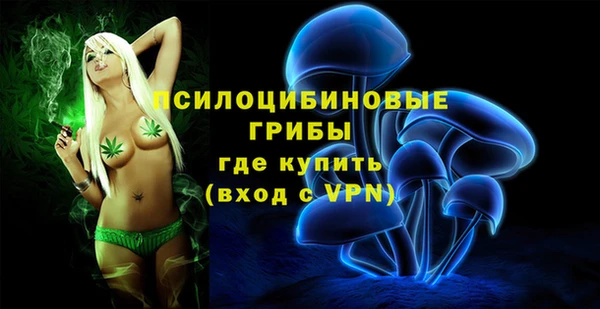 PSILOCYBIN Абинск