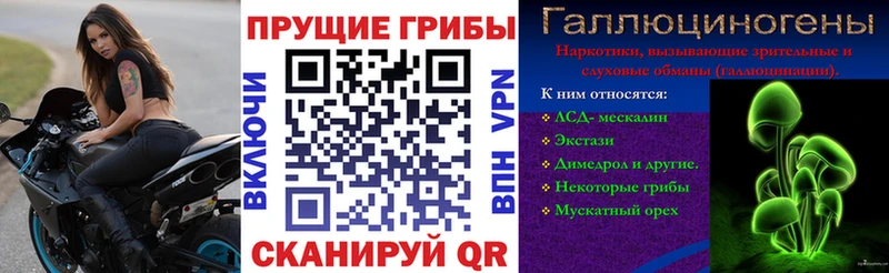 Псилоцибиновые грибы Psilocybe Данилов