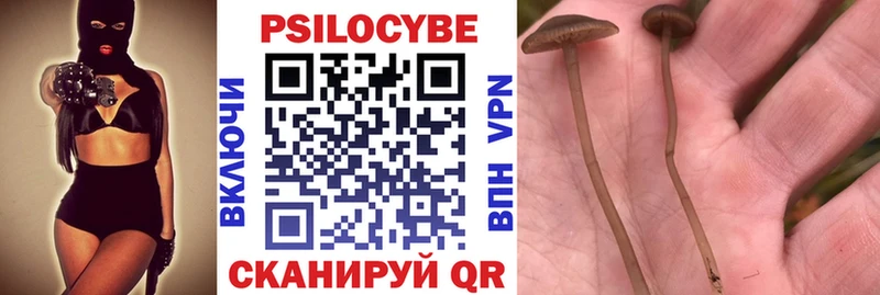 Псилоцибиновые грибы MAGIC MUSHROOMS  закладка  Данилов 